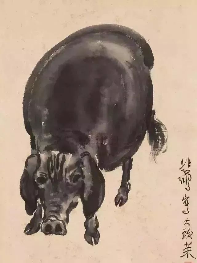 齐白石、徐悲鸿、黄胄、黄永玉、韩美林画的猪，别有意趣！