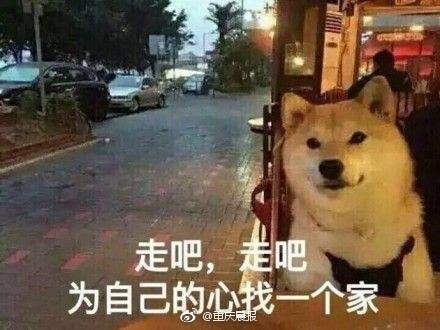 情人节玫瑰单支6元99朵要700元 凌晨便已有人开始买花