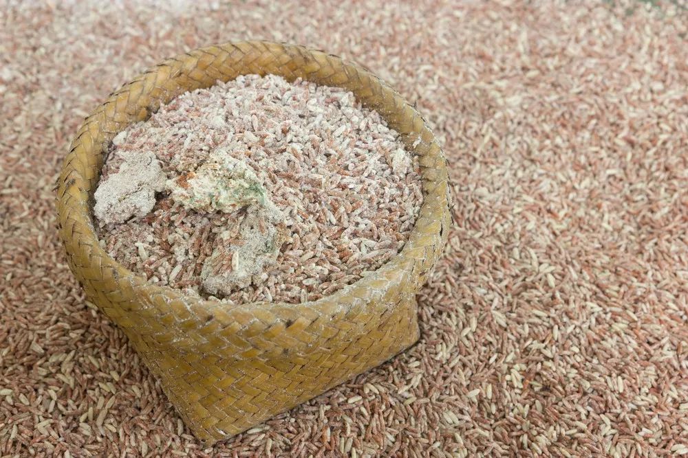 大米发霉怎么办-大米发霉怎么办? - 114知识网