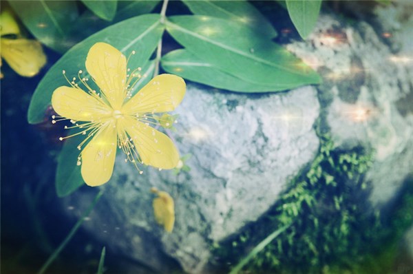 伤感难以入眠的心痛说说，熬夜和想你，都该戒了