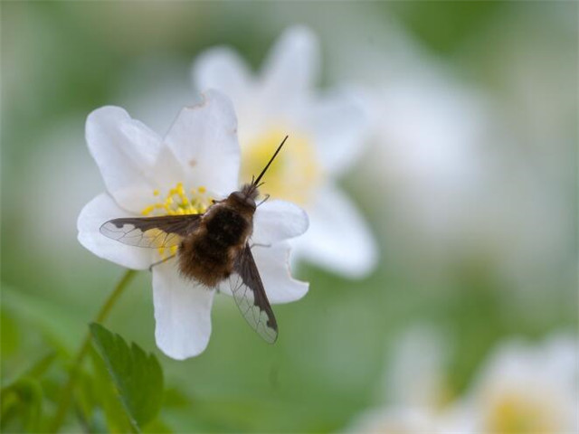 形容天气忽冷忽热的说说 气温变化无常的句子