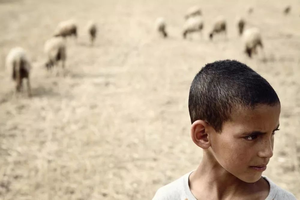 利拉 · 阿拉维（Leila Alaoui）中国首次展出：离别的你'Ya Rayah'