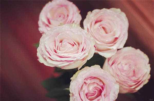 男人明明很爱你，却不主动联系，逃不过这些“小心思”