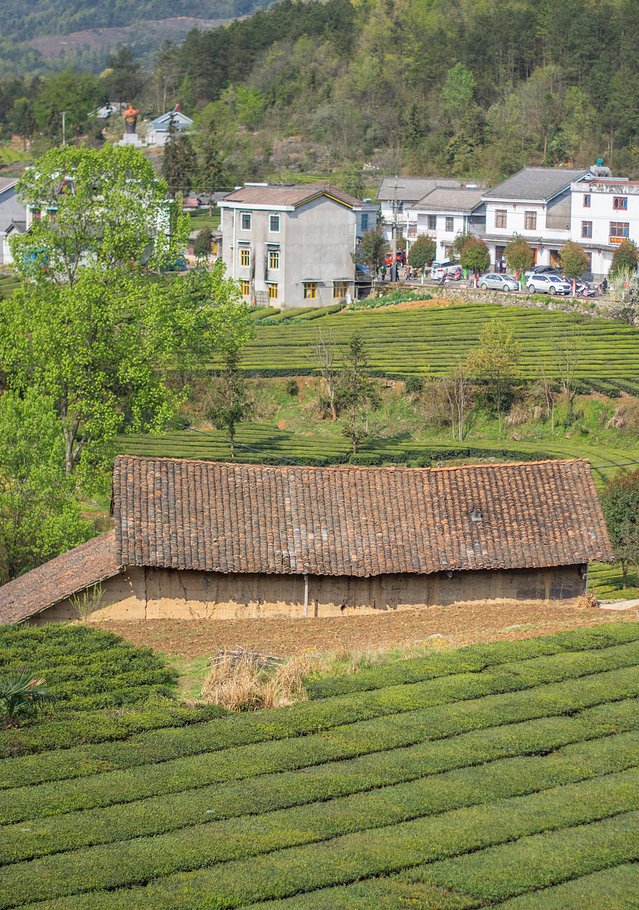 湖北宜都实用旅游攻略，看山川美景，读千年人文