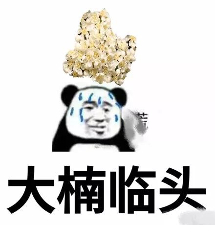 石楠花為什么污,石楠為什么是最污的花