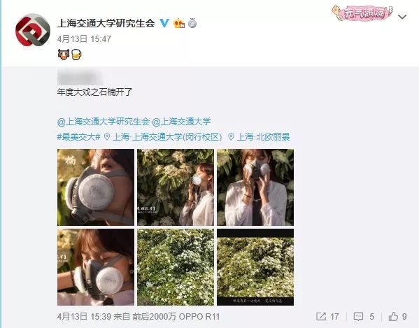 石楠花为什么污,石楠为什么是最污的花