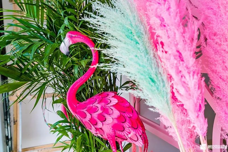 免费理发！免费染发！这家新开美发会所，即将成为网红打卡新地标！