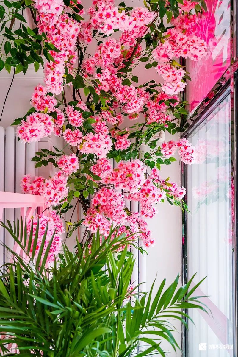 免费理发！免费染发！这家新开美发会所，即将成为网红打卡新地标！