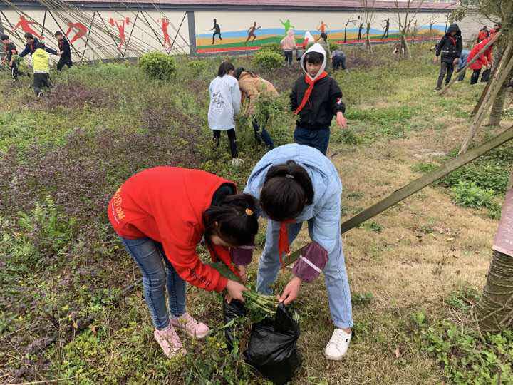 未成年人思想道德建设｜跟小学生一起践行“三爱三节”