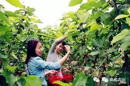 五一小长假，安义游玩最全攻略已备好，让你好玩到爆！