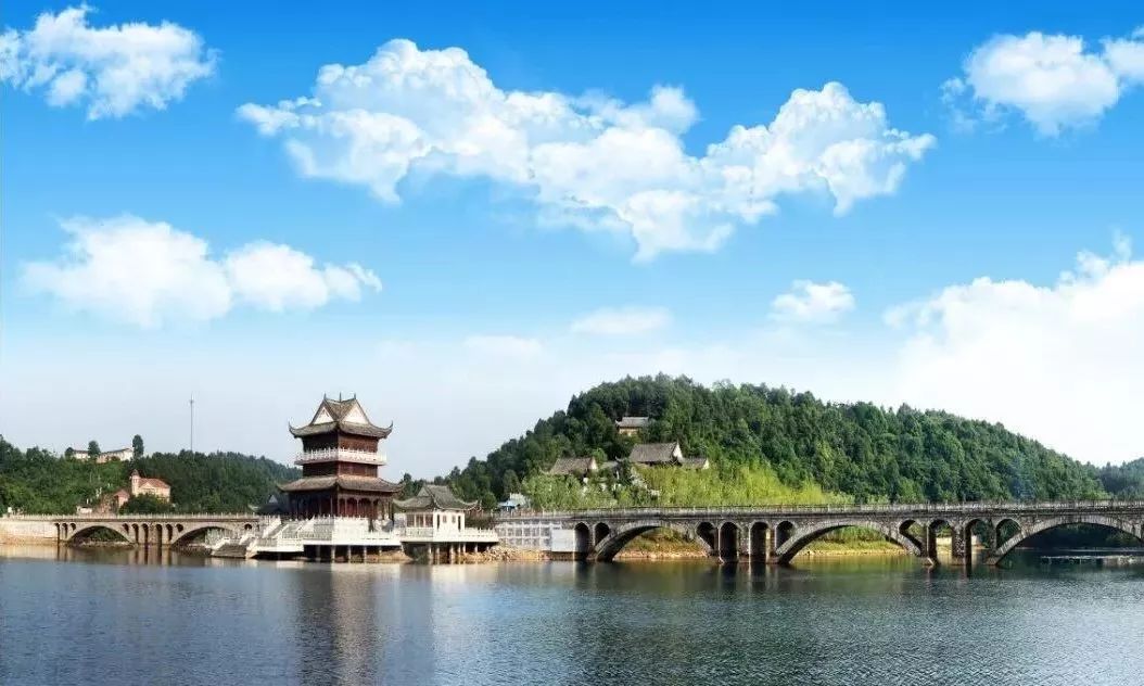 表彰！宜昌这些单位、个人上榜！