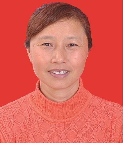 表彰！宜昌这些单位、个人上榜！