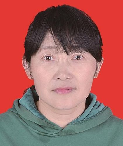 表彰！宜昌这些单位、个人上榜！