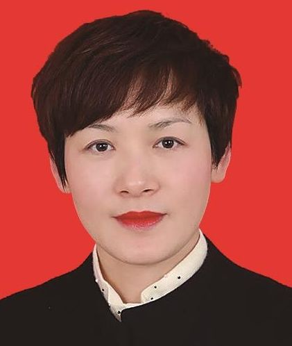 表彰！宜昌这些单位、个人上榜！