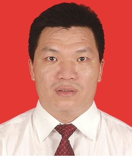 表彰！宜昌这些单位、个人上榜！