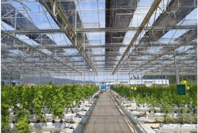 五一小长假，安义游玩最全攻略已备好，让你好玩到爆！