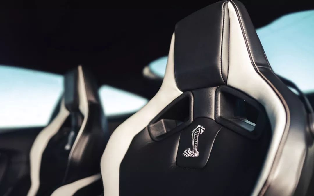 史上最快“眼镜蛇” 鉴赏2020款福特Mustang Shelby GT500
