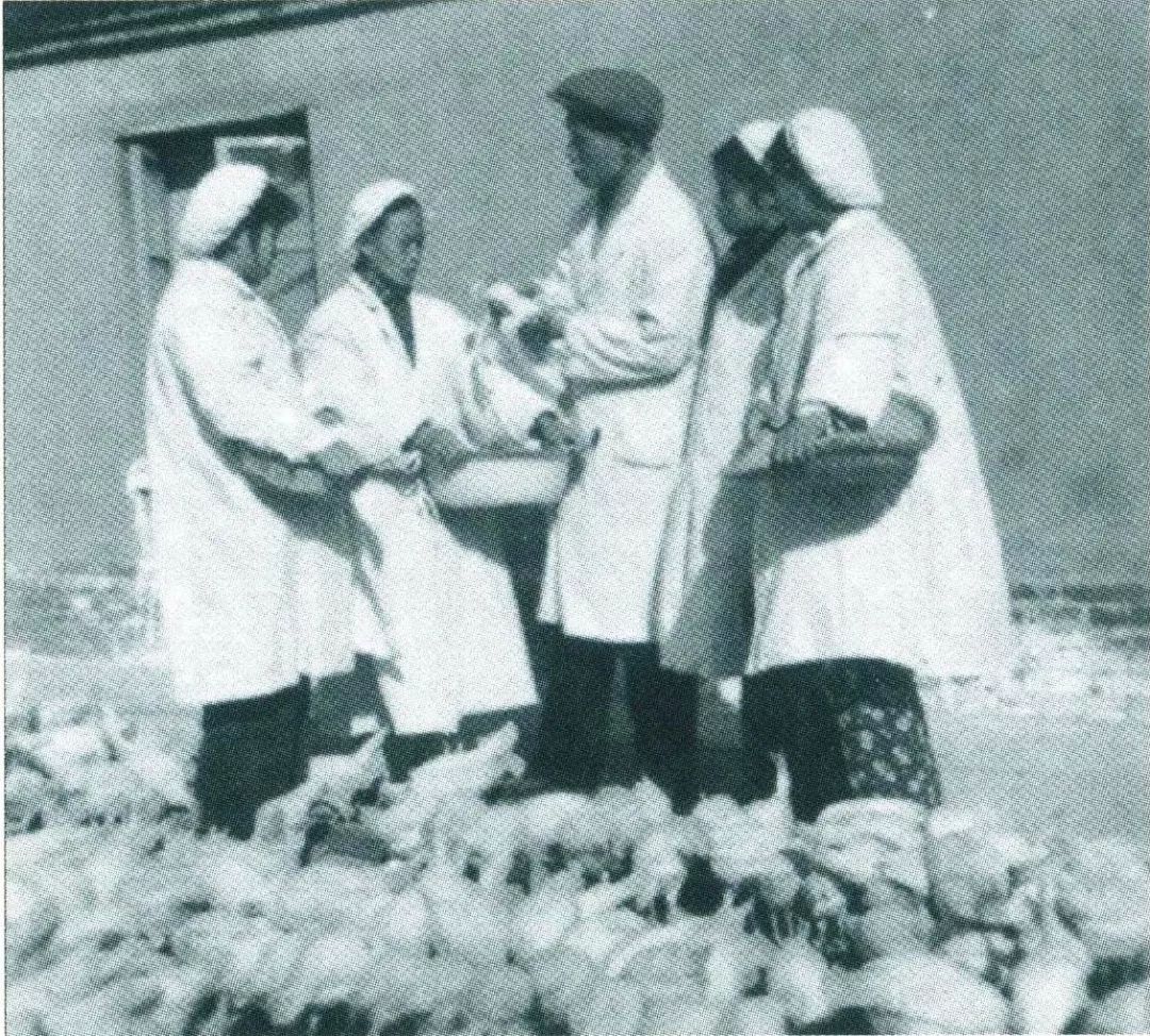 1960年5月7日，陕西师范大学组建成立！