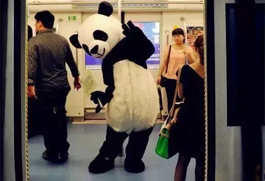 想要在龙泉驿买房的朋友看这里！积分落户来啦！