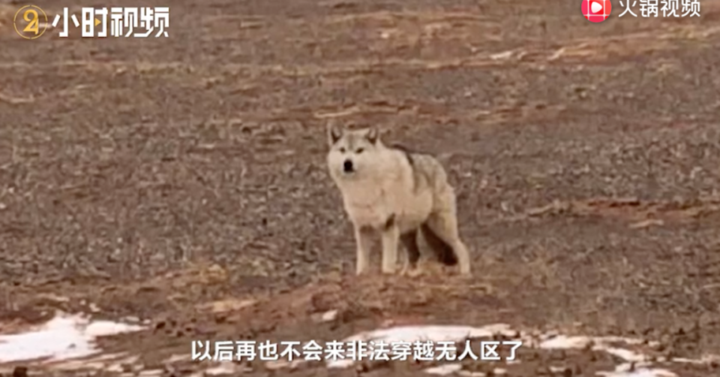 杭州小伙回忆无人区50天 因为拉肚子被队友扔下