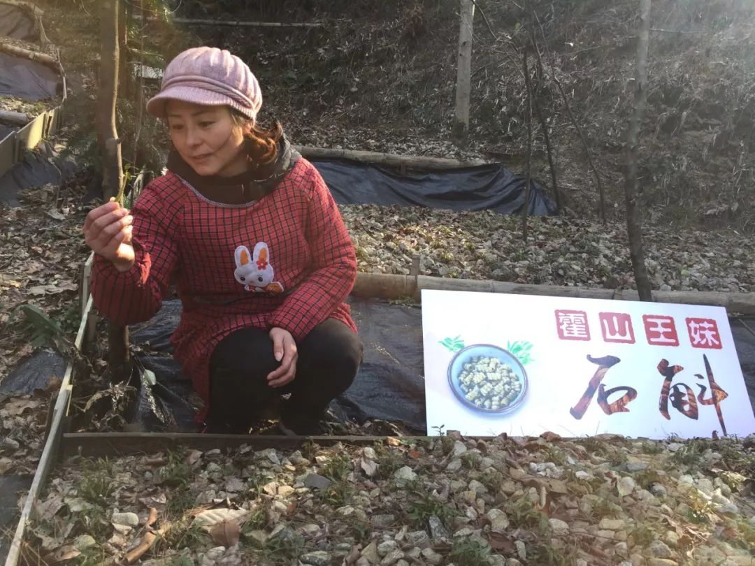 它是“天然青霉素”，每天一杯，肠胃通了，肚子小了，提高免疫力...