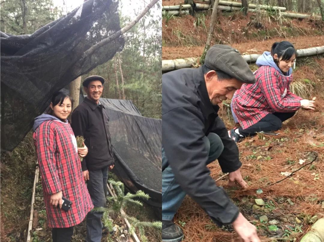 它是“天然青霉素”，每天一杯，肠胃通了，肚子小了，提高免疫力...