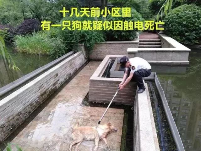 真实 | 您的孩子身边潜伏七大“杀手”，家长必看！