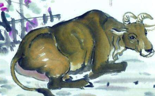 85年属牛转大运年龄运势都变成什么样呢