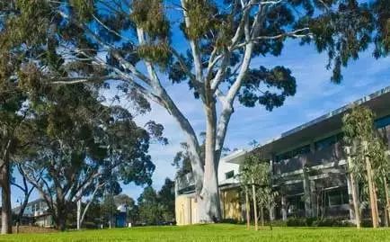 挂科率全澳第二！这所让人学过、挂过的“野鸡大学”是你的心头好吗？