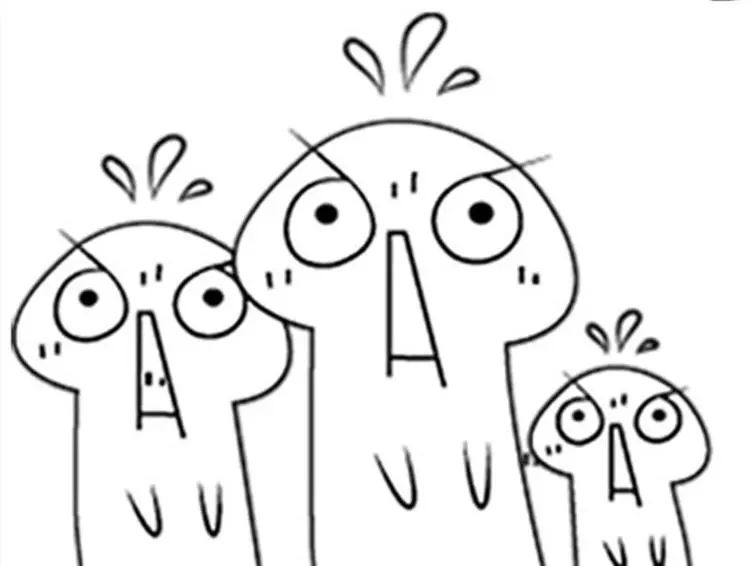 走近历史文化学院