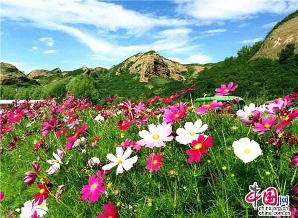 雨后宁夏：烟雨如梦山水如墨 独具西北风情