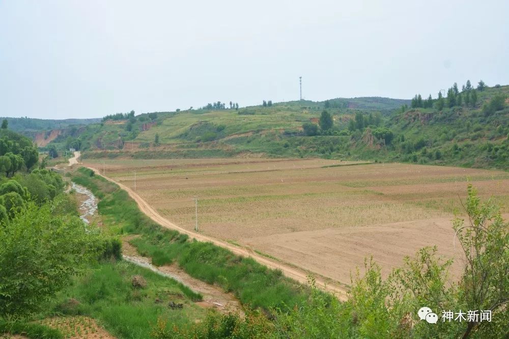 【脱贫】南北沟村：脱贫增收展新颜