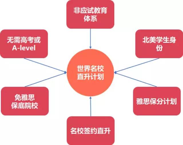 从考不上好大学到挤进前三十的世界名校，为何他们到了国外更成功