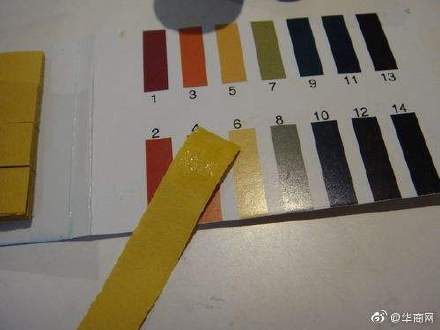 胎儿性别检测试纸到底靠不靠谱？