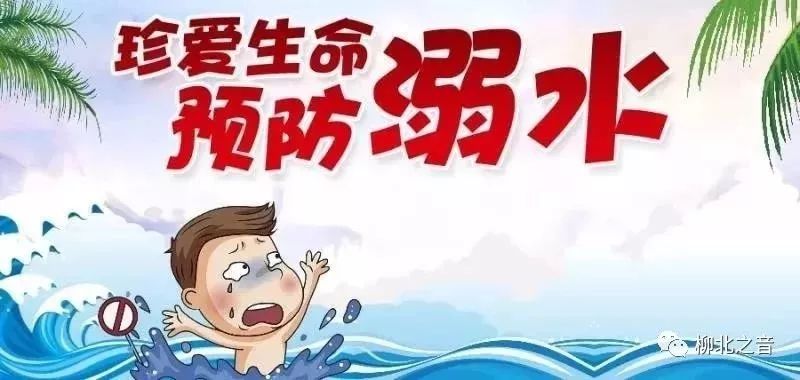 【安全课堂】这些保健食品都是假的，千万别买！