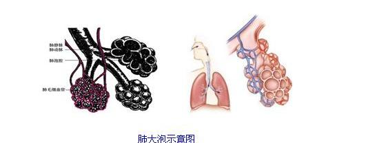 如何区别肺气肿与肺大泡？肺气肿与肺大泡如何治疗？