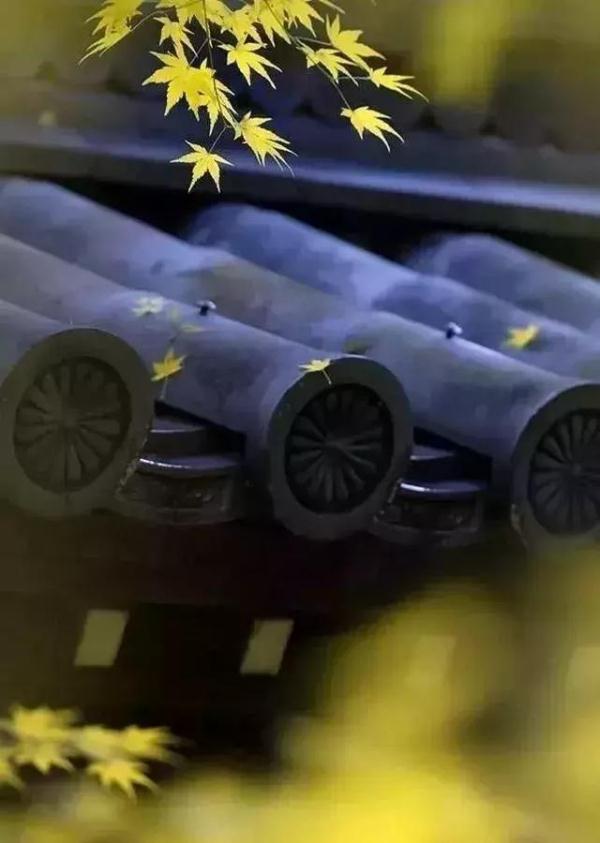 诗词丨10首宽心诗词，句句哲理，助你看开人生烦恼