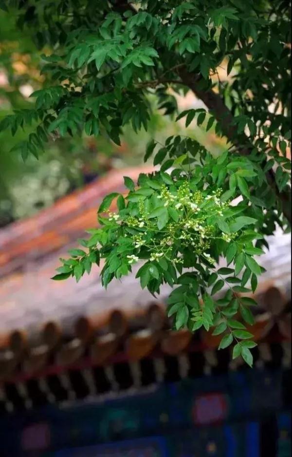 诗词丨10首宽心诗词，句句哲理，助你看开人生烦恼