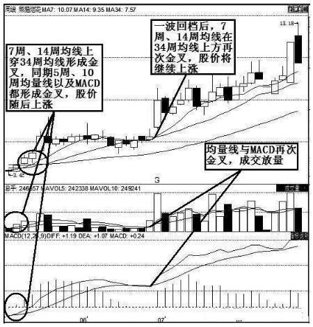 华尔街牛散再次发声：现在A股中有很多3元以下的低价股，可以投资2000手吗？点醒1.5亿迷茫股民