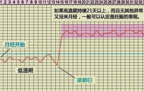 受精完成的标志（受精完成的三大信号你都知道吗）