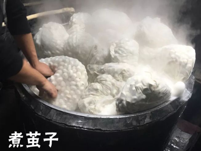 桐鄉(xiāng)蠶絲被,