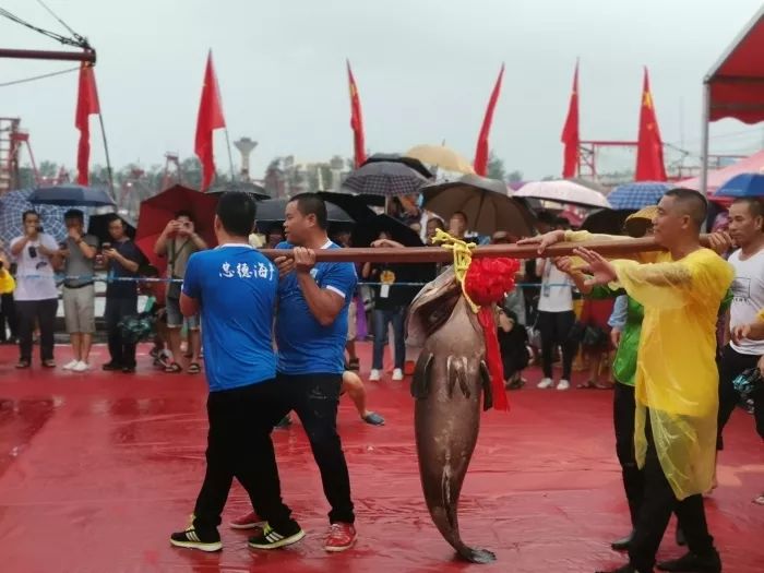 北海一条鱼卖出70多万高价！近4000元一斤！最新海鲜价格是这样的