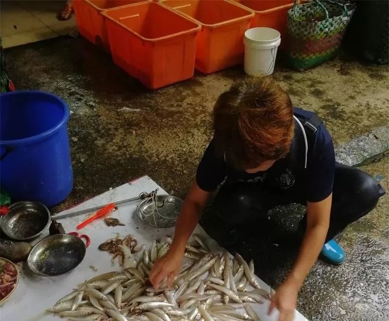 北海一条鱼卖出70多万高价！近4000元一斤！最新海鲜价格是这样的