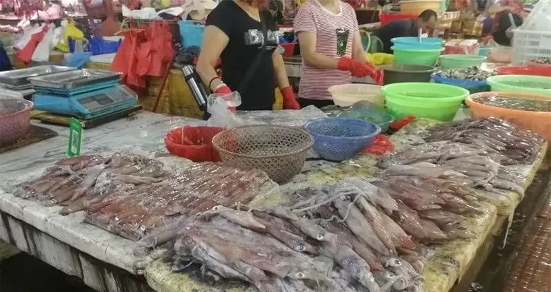 北海一条鱼卖出70多万高价！近4000元一斤！最新海鲜价格是这样的