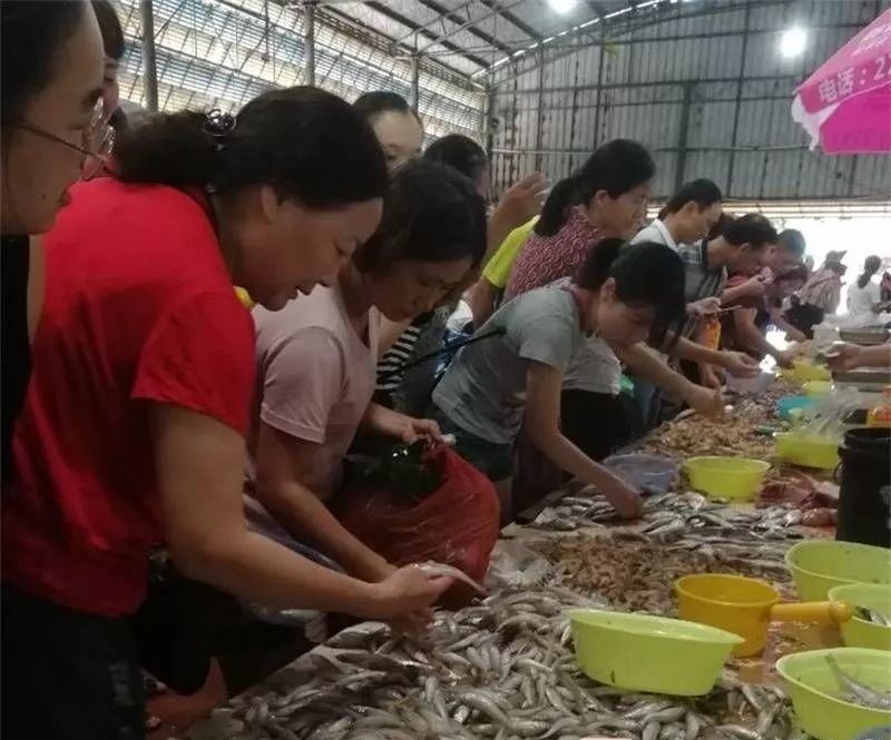 北海一条鱼卖出70多万高价！近4000元一斤！最新海鲜价格是这样的