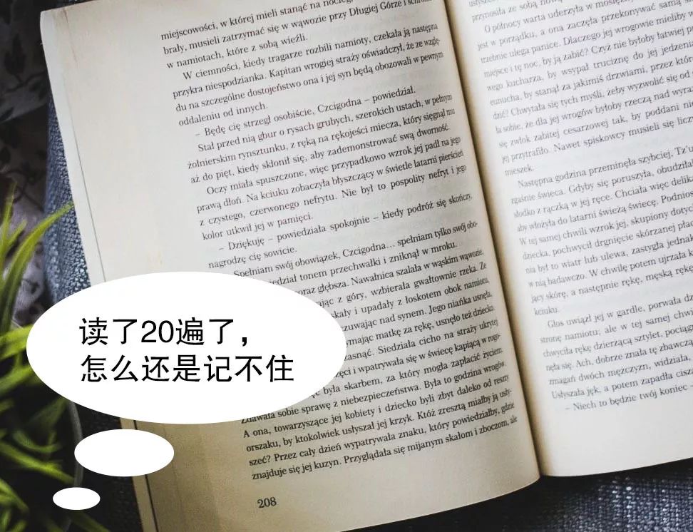 为什么要要参加脑力世界杯(脑力可以提升你知道吗？团团带你去了解！)