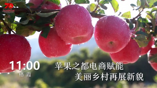 1天24小时，烟台在发生什么……