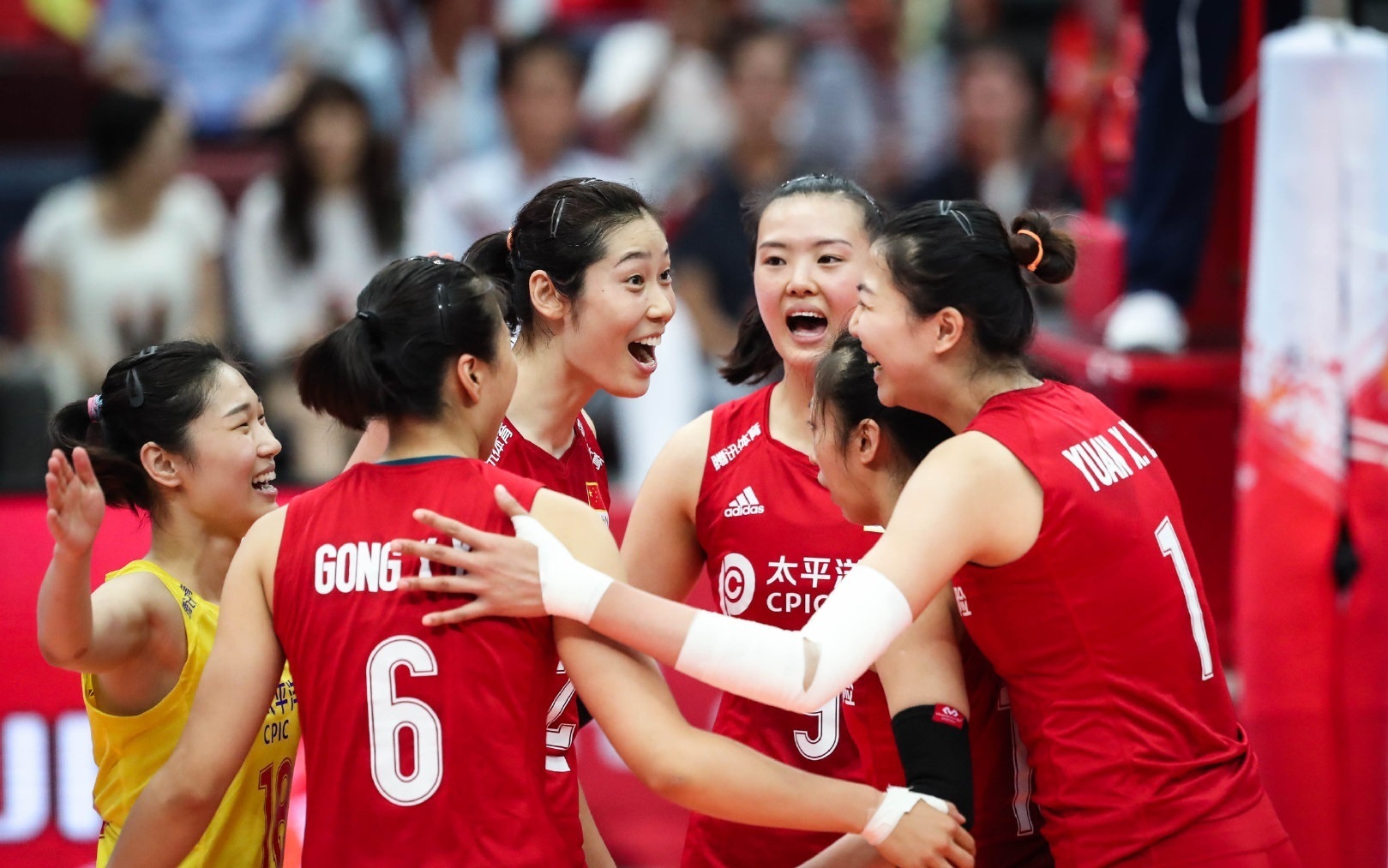 2019世界杯女排冠军(习近平致电祝贺中国女排夺得2019年女排世界杯冠军)