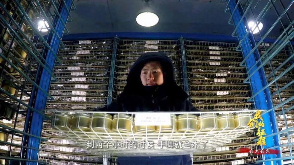 中國碗里裝滿中國糧！看，這片神奇的土地如何創(chuàng)造奇跡...