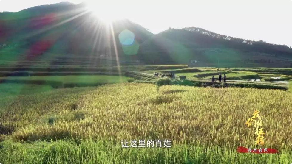 中國碗里裝滿中國糧！看，這片神奇的土地如何創(chuàng)造奇跡...